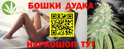 ECSTASY Гатчина