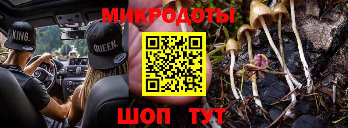 Псилоцибиновые грибы GOLDEN TEACHER  Вход с VPN  магазин продажи наркотиков  Семилуки 