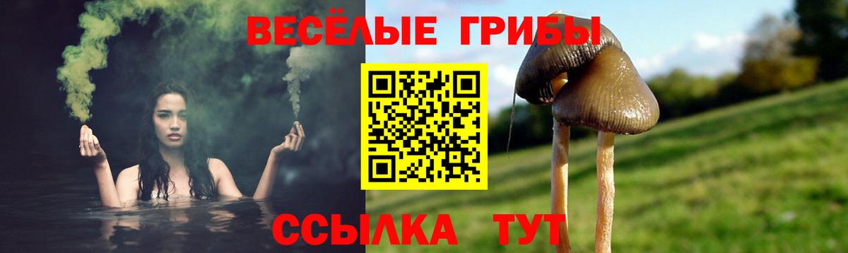 Псилоцибиновые грибы Psilocybe Семилуки